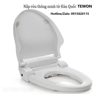 Nắp Bồn Cầu Thông Minh Tewon Nắp Bồn Cầu Thông Minh Và Bồn Cầu Thông Minh